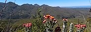 Craddock Peak